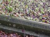 image of grave number 795292